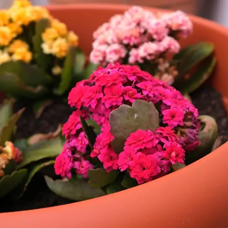 Sunset House بيت للعطل بوجيرو