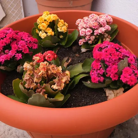 Sunset House * بوجيرو