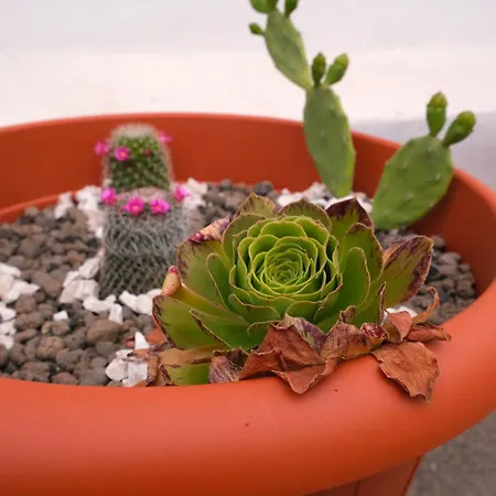 بيت للعطل Sunset House بوجيرو