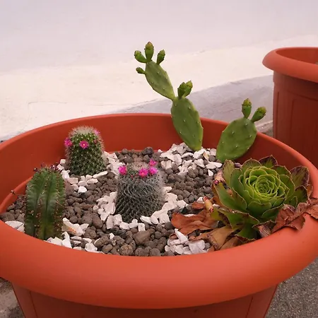 Sunset House بوجيرو